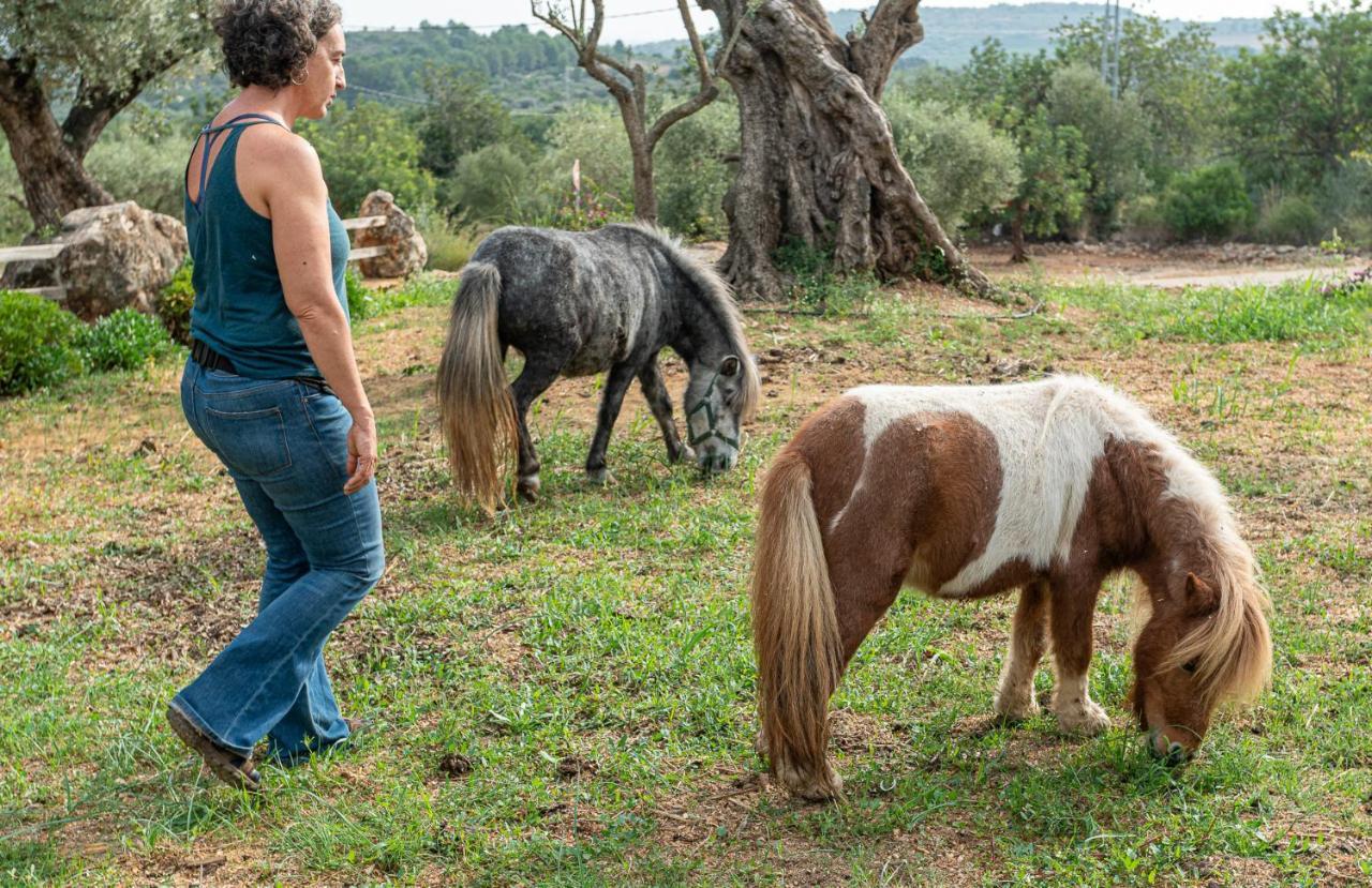 Casa Del Arbol - Tierra De Arte Βίλα San Jorge  Εξωτερικό φωτογραφία