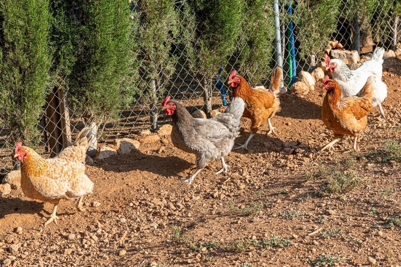 Casa Del Arbol - Tierra De Arte Βίλα San Jorge  Εξωτερικό φωτογραφία